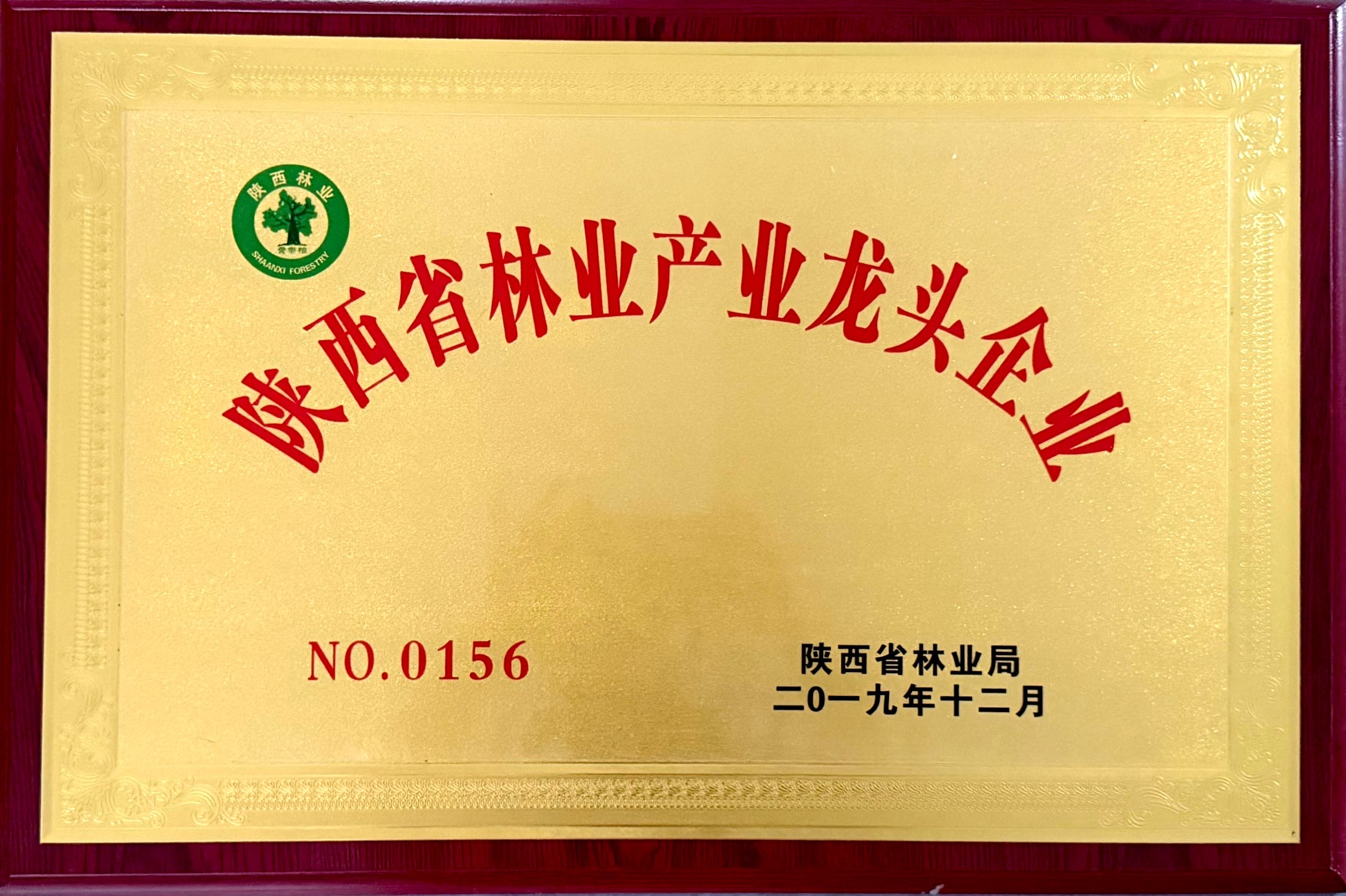 龙头企业