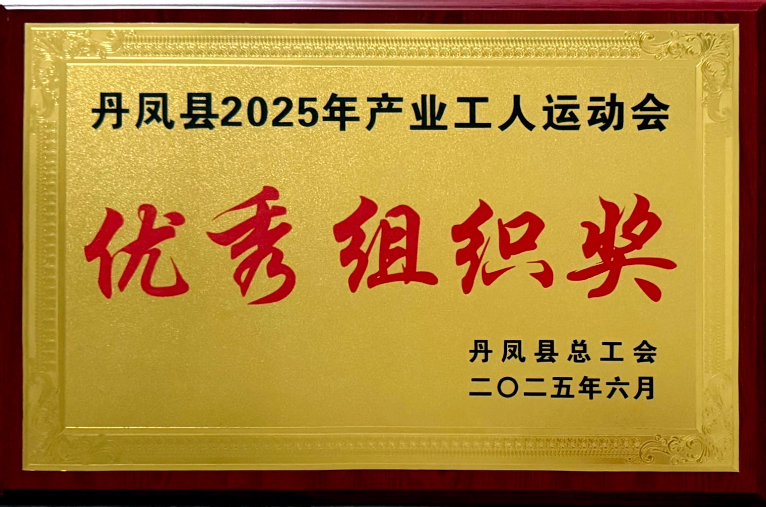 优秀组织奖
