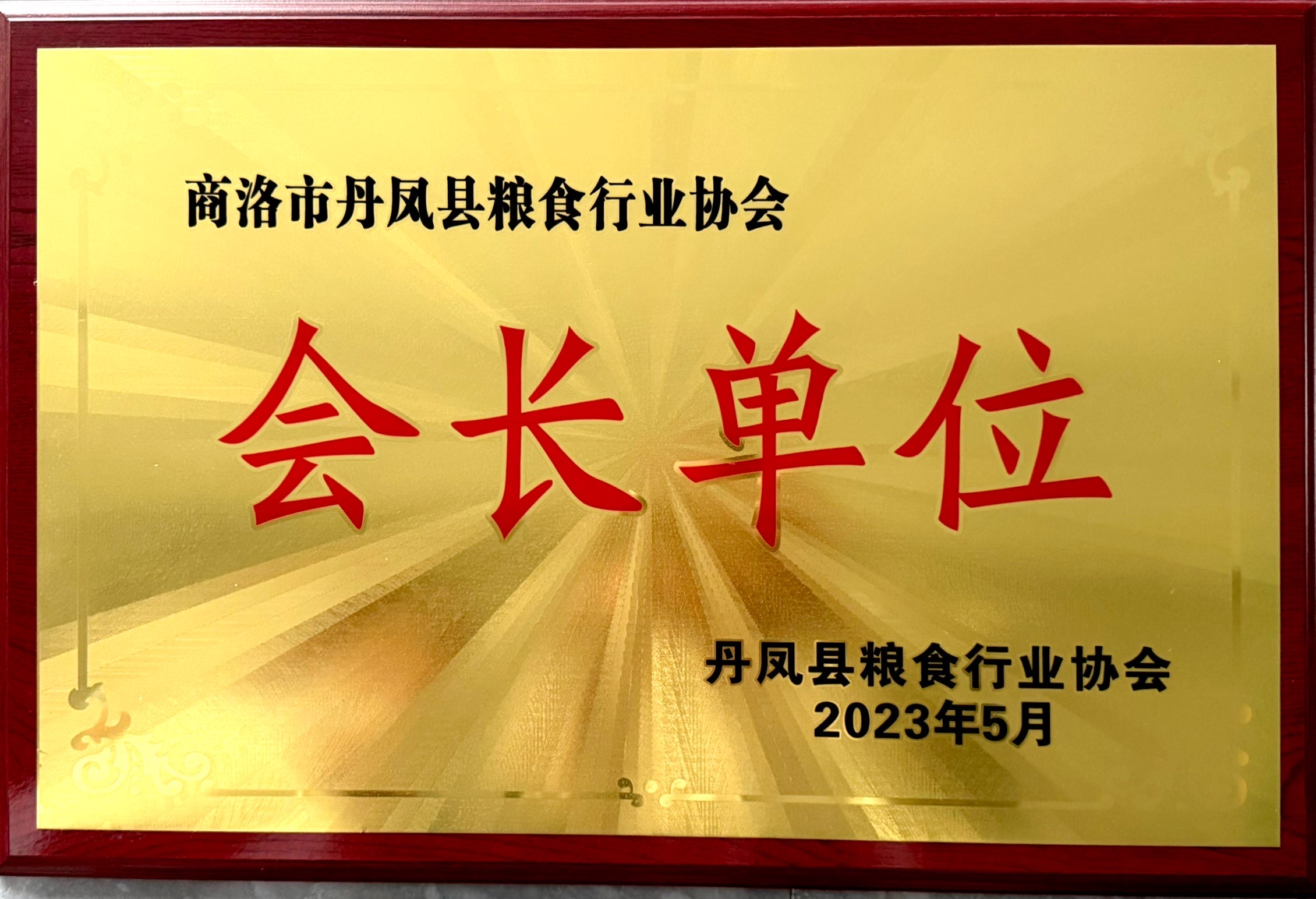 会长单位