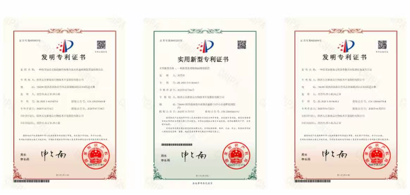 发明专利