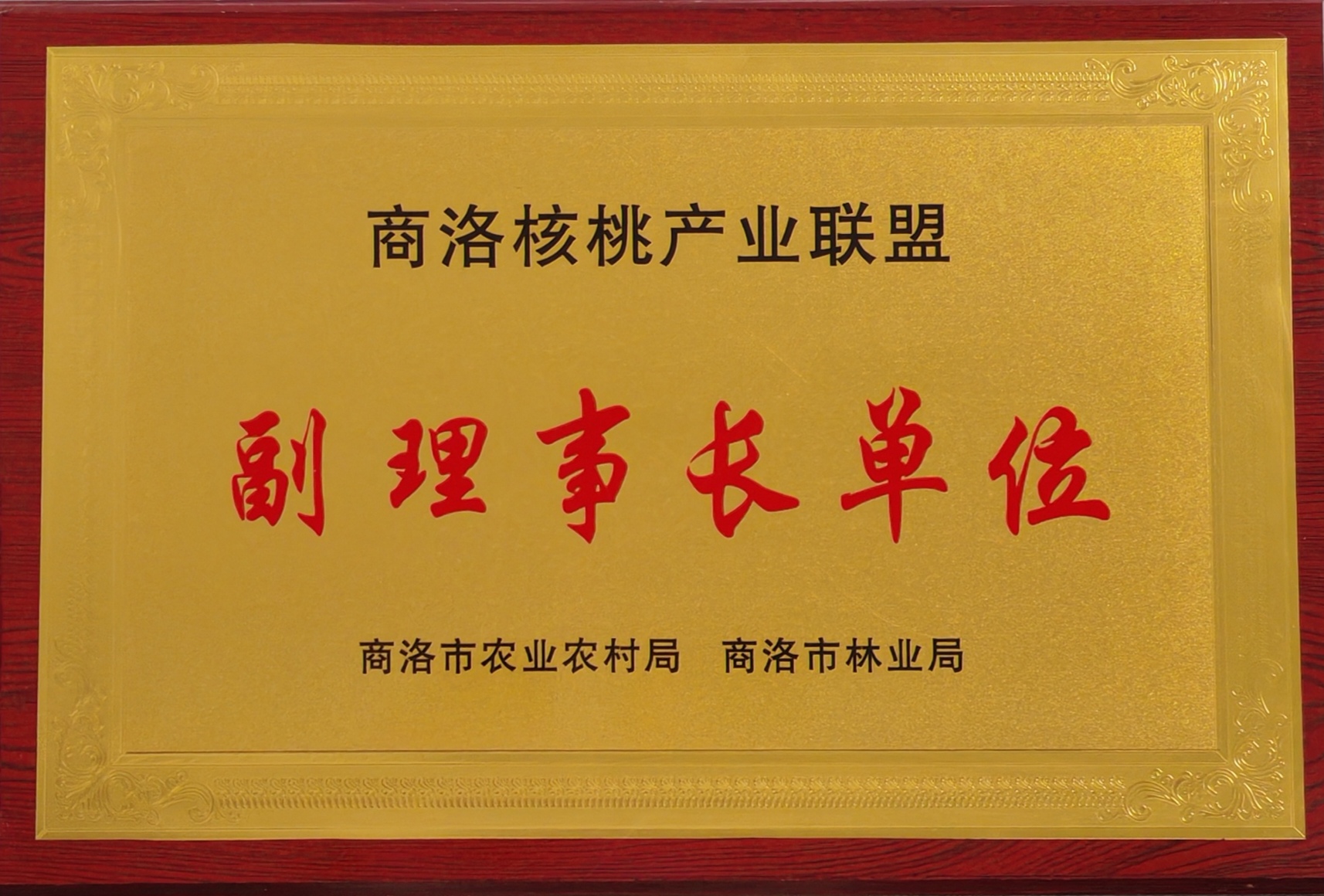 副理事长单位